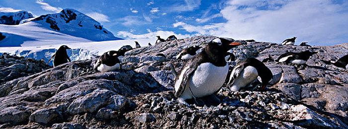《碧海黑帆》预算已超1.2亿美元 核心玩法仍未确定