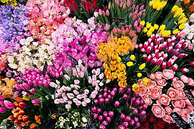 《远征：泥泞奔驰游戏》第一季新增合作＆洞穴探索等